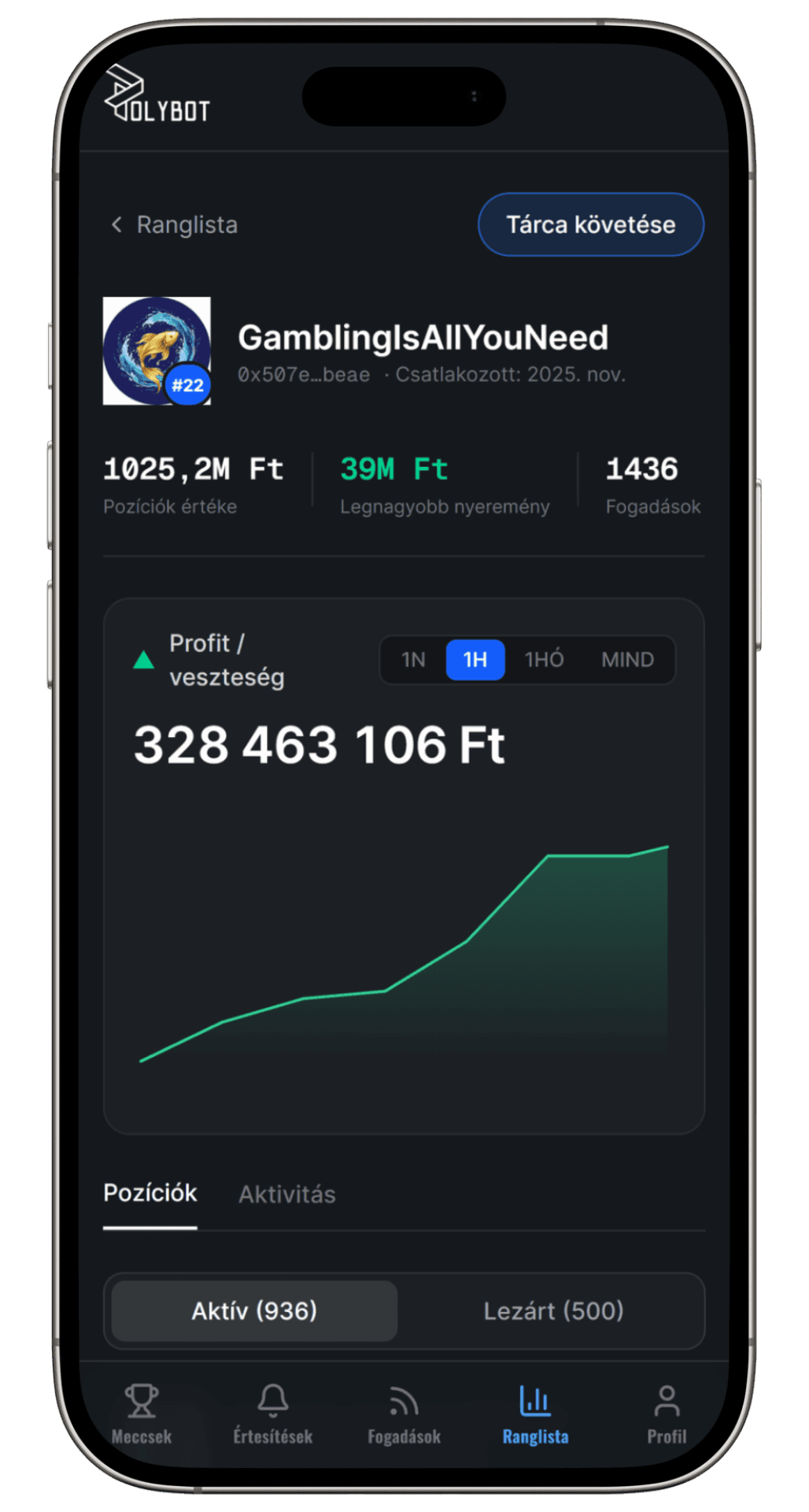 Játékos profil és ranglista